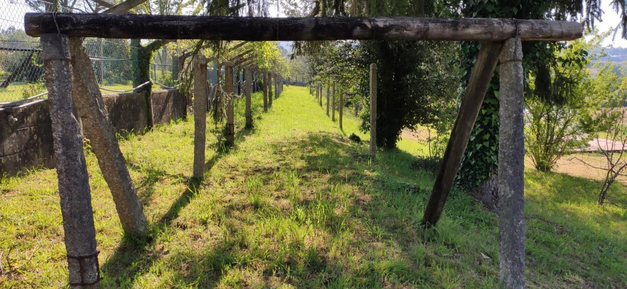 Finca Bouzas Teo Bagian luar foto